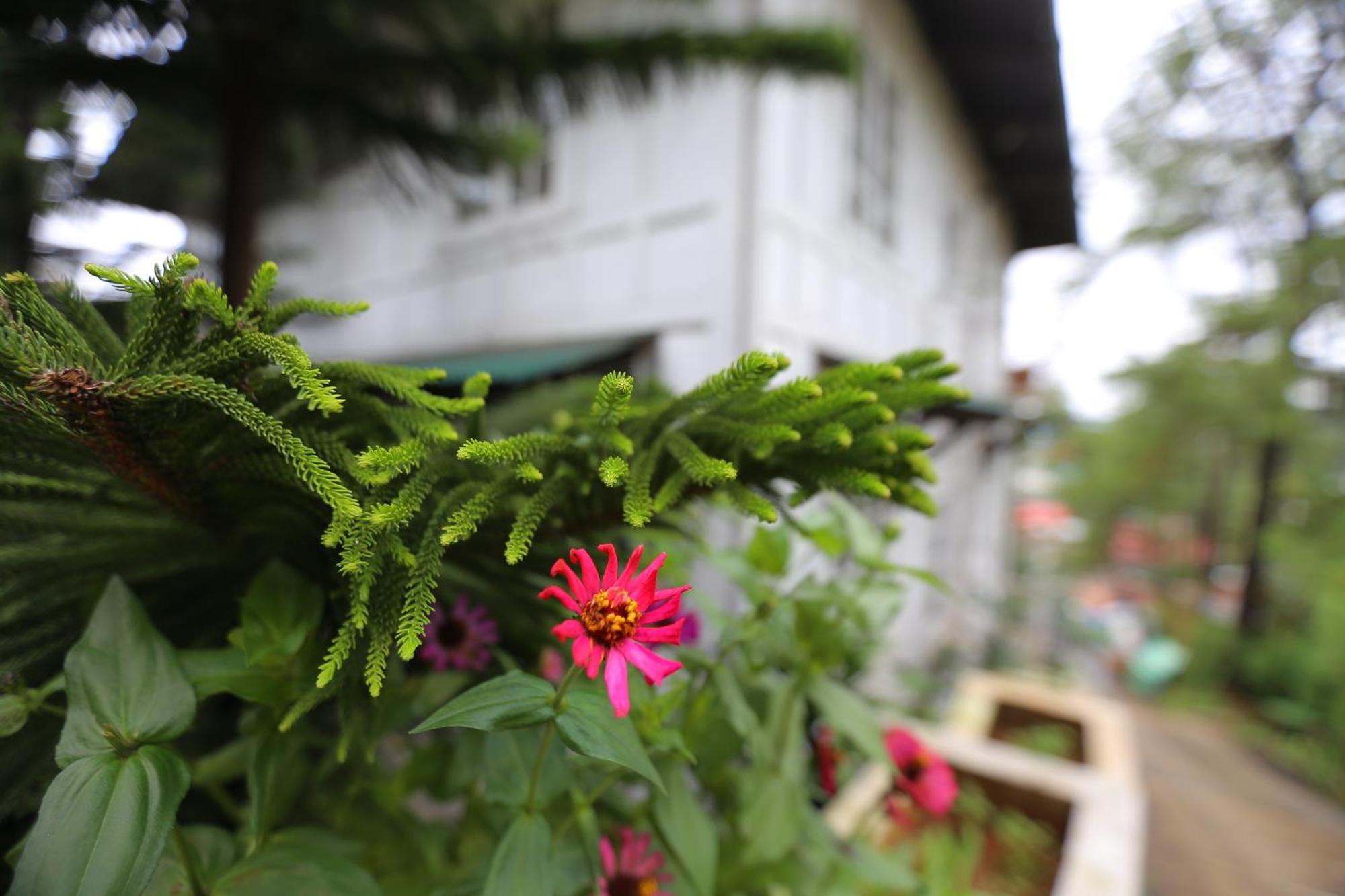 Casa Vallejo Hotel Baguio Baguio City Dış mekan fotoğraf